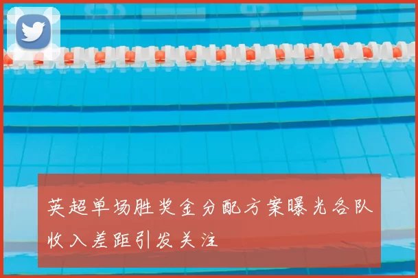 英超单场胜奖金分配方案曝光各队收入差距引发关注