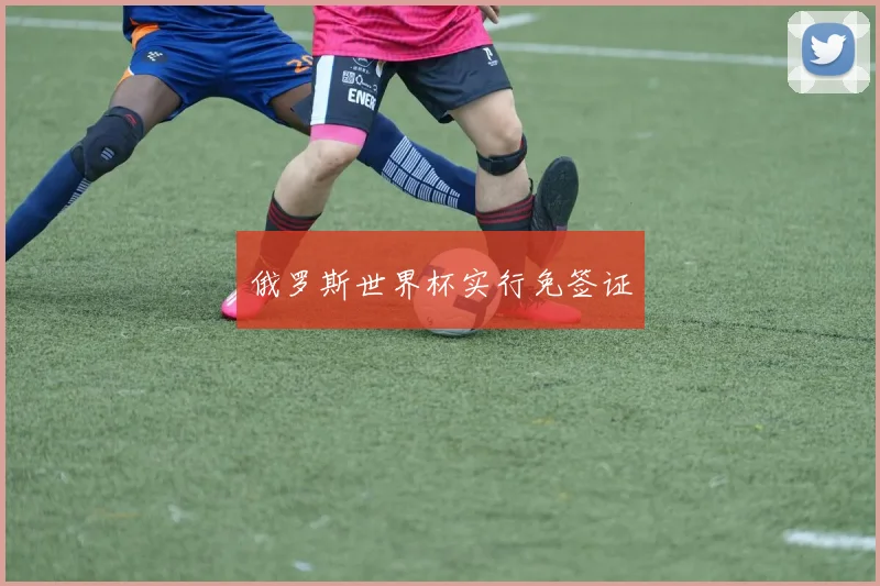 俄罗斯世界杯实行免签证